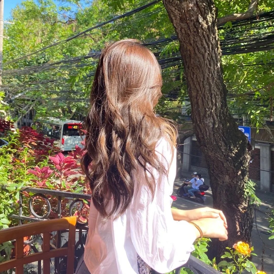 樱花庄的宠物女孩